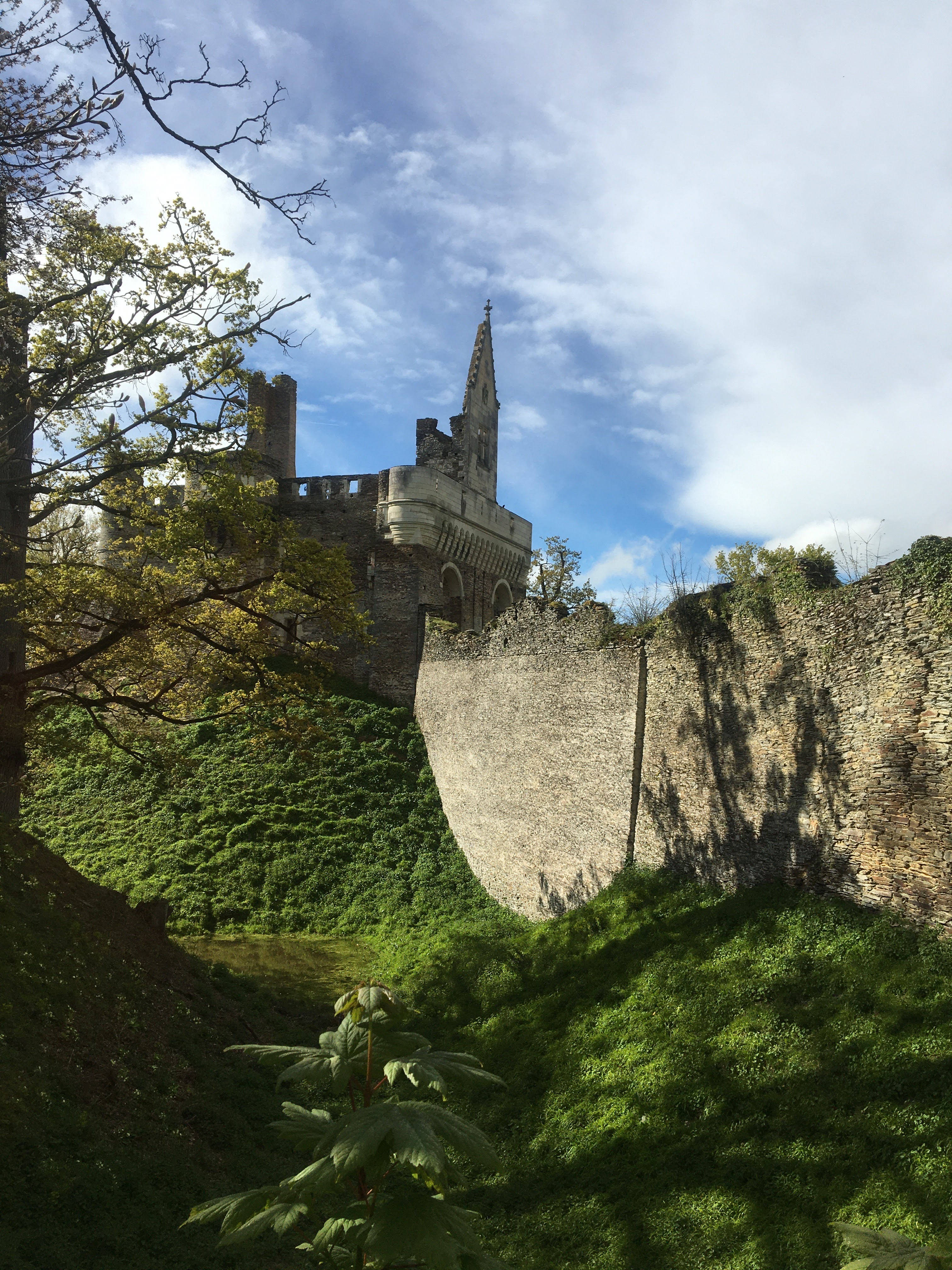 Photo n° 1 de l'avis de jacqueline.r fait le 13/04/2023 à 16:15