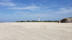 Cape May Beach'in fotoğrafı doğal alan içinde bulunmaktadır