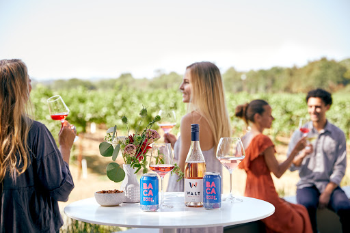BACA Wines image