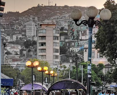 Errazuriz - Bellavista / Oriente