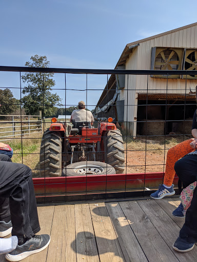 Farm «Warbington Farms (U-Pick Strawberries)», reviews and photos, 5555 Crow Rd, Cumming, GA 30041, USA