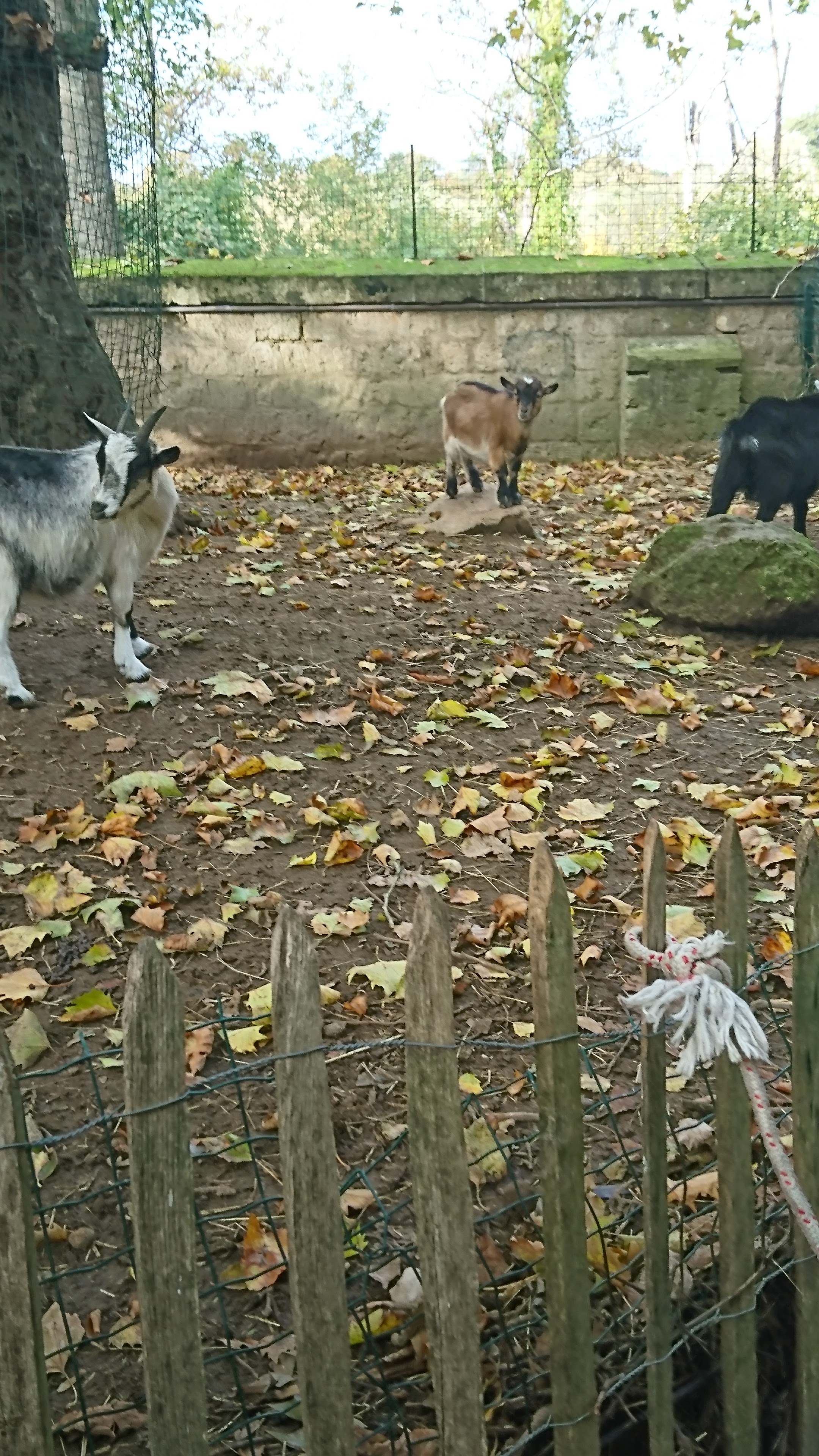 Photo n° 13 de l'avis de Catherine.e fait le 22/10/2020 à 16:32