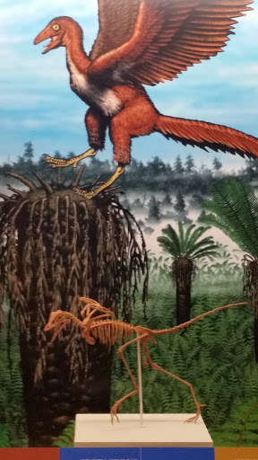 Museum «Delaware Museum of Natural History», reviews and photos, 4840 Kennett Pike, Wilmington, DE 19807, USA