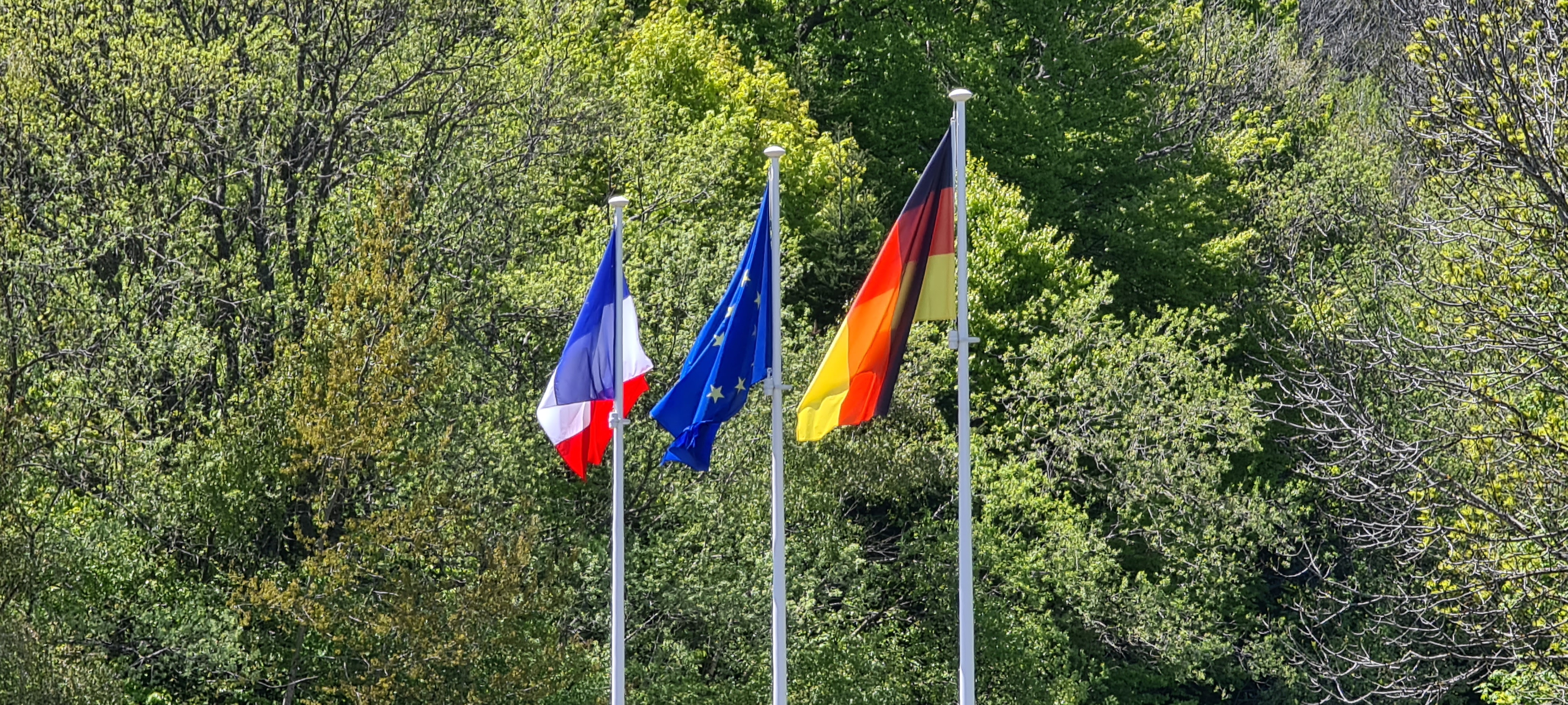 Photo n° 1 de l'avis de Jean.r fait le 29/05/2021 à 15:01