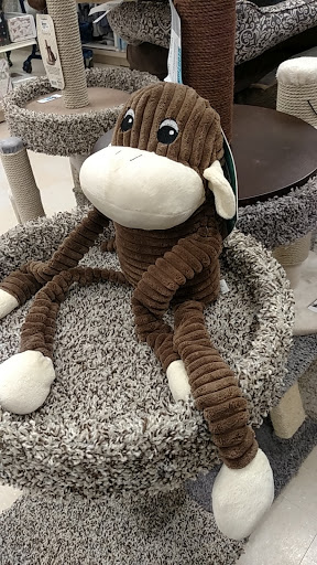 Department Store «Marshalls», reviews and photos, 7230 Bell Creek Rd b, Mechanicsville, VA 23111, USA