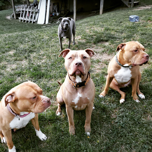 1620 Corporate Woods Cir, Uniontown, OH 44685, USA