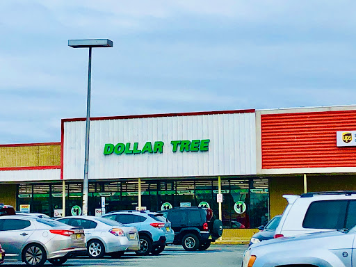 Dollar Store «Dollar Tree», reviews and photos, 135 Bloomfield Ave, Bloomfield, NJ 07003, USA