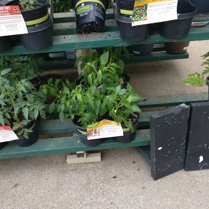 Garden Center at The Home Depot