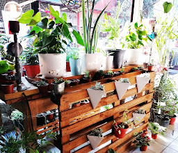 FERRETERA CASA BLANCA photo