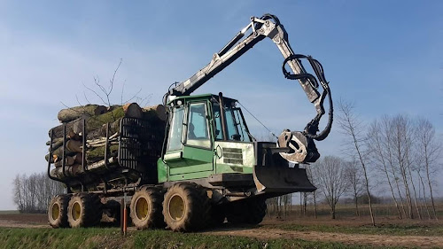 Arden Bois à Belleville-et-Châtillon-sur-Bar