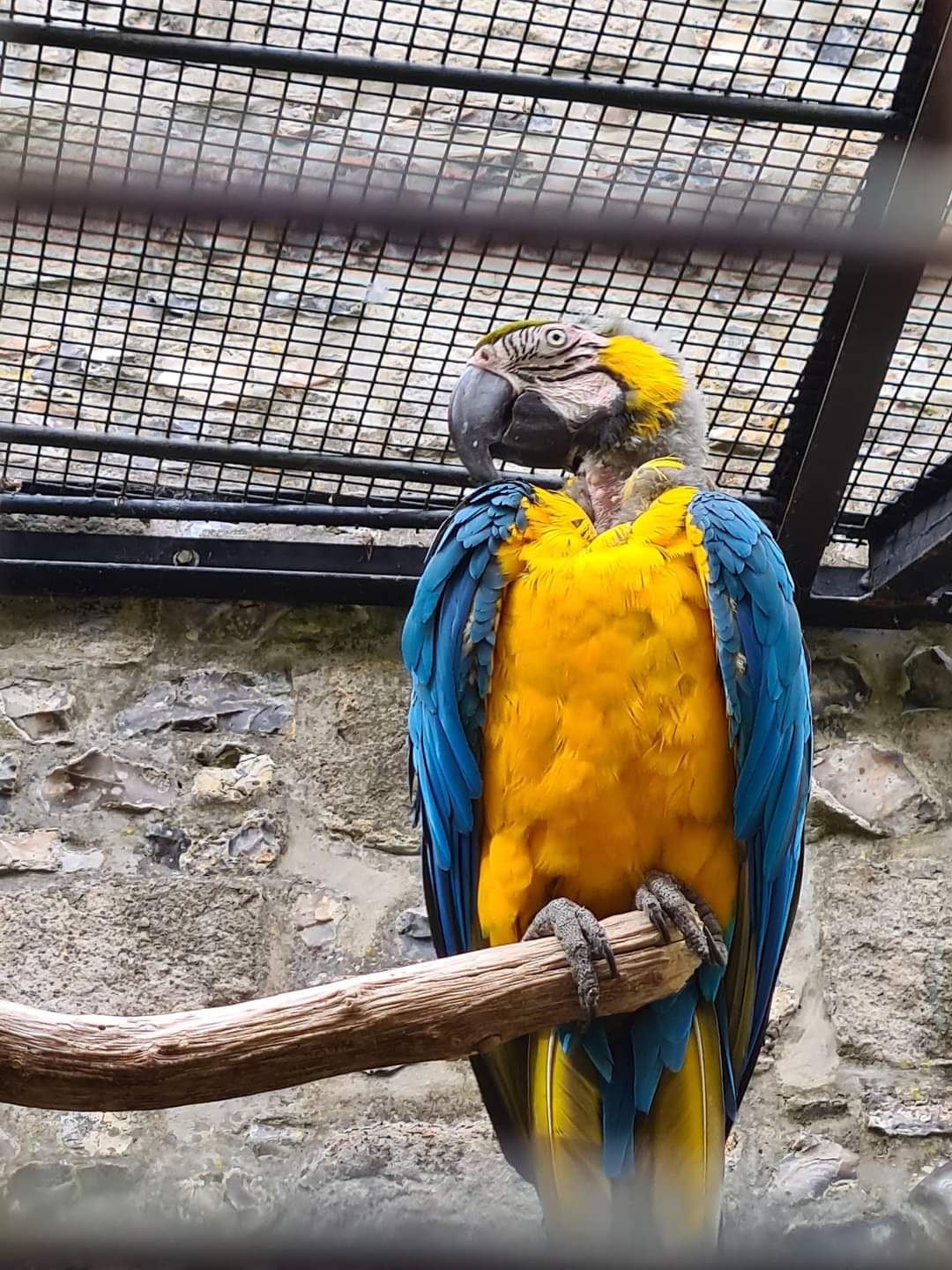 Photo n° 35 de l'avis de Maïté.e fait le 03/08/2022 à 19:24