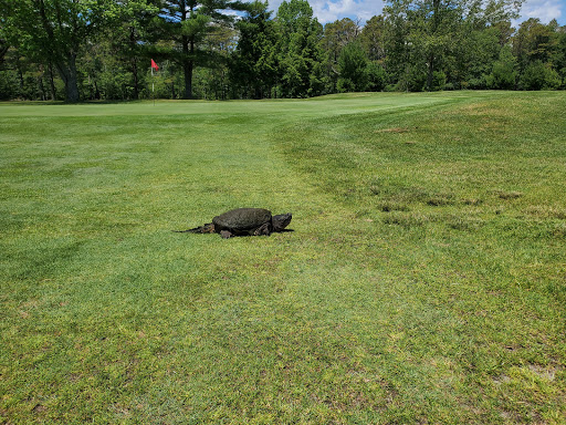 Public Golf Course «Hamilton Trails Golf Club», reviews and photos, 620 Harbor Ave, Mays Landing, NJ 08330, USA