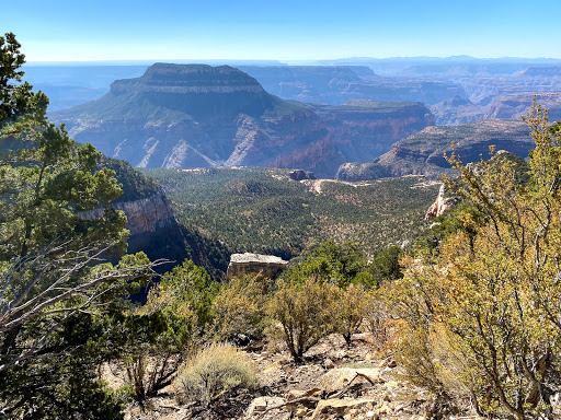 Rainbow Rim Trail