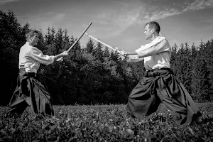 Aikido Club Annecy-Le-Vieux image