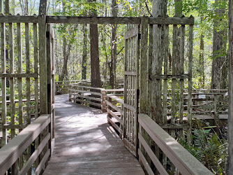 Audubon Corkscrew Swamp Sanctuary-ONLINE RESERVATIONS REQUIRED.