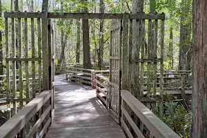 Audubon Corkscrew Swamp Sanctuary-ONLINE TICKETS RECOMMENDED image