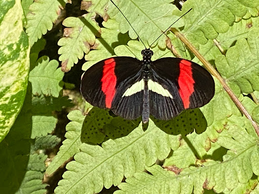 Natural History Museum «Florida Museum of Natural History», reviews and photos, 3215 Hull Rd, Gainesville, FL 32611, USA