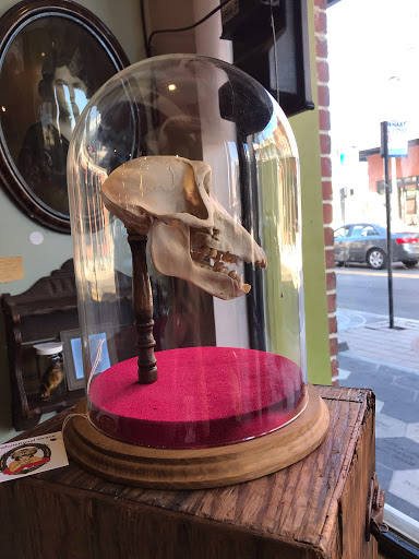 Art Gallery «Dysfunctional Grace Art Co», reviews and photos, 1903 E 7th Ave, Tampa, FL 33605, USA