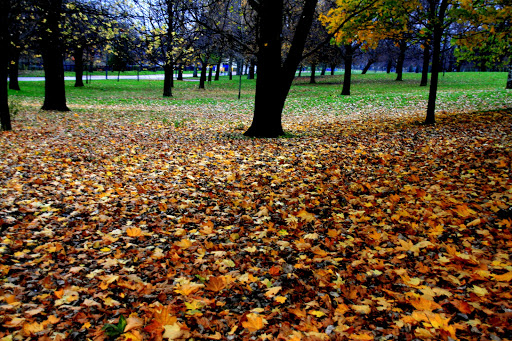 First campsites Glasgow