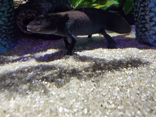 Wax Museum «Madame Tussauds New York», reviews and photos, 234 W 42nd St, New York, NY 10036, USA