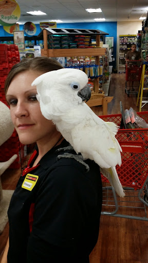 Pet Supply Store «Pet Supermarket», reviews and photos, 2924 13th St, St Cloud, FL 34769, USA