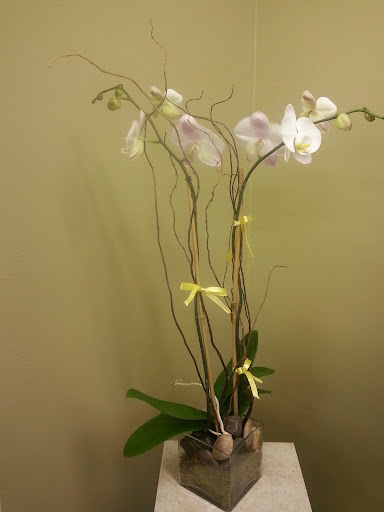 Florist «Starclaire House of Flowers Florist», reviews and photos, 1421 Emerywood Dr, Charlotte, NC 28210, USA