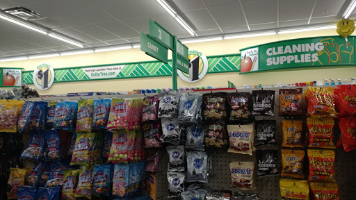 Dollar Store «Dollar Tree», reviews and photos, 3201 Rolling Oaks Blvd, Kissimmee, FL 34747, USA
