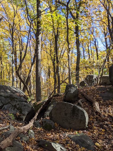 Nature Preserve «Sourland Mountain Preserve», reviews and photos, 421 E Mountain Rd, Hillsborough Township, NJ 08844, USA