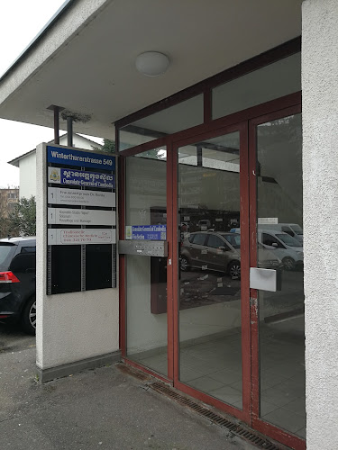 Rezensionen über TCM MediCare Praxis Schwamendingen in Zürich - Akupunkteur
