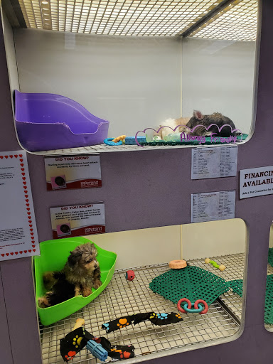 Pet Supply Store «Petland», reviews and photos, 6126 Northwest Hwy, Crystal Lake, IL 60014, USA