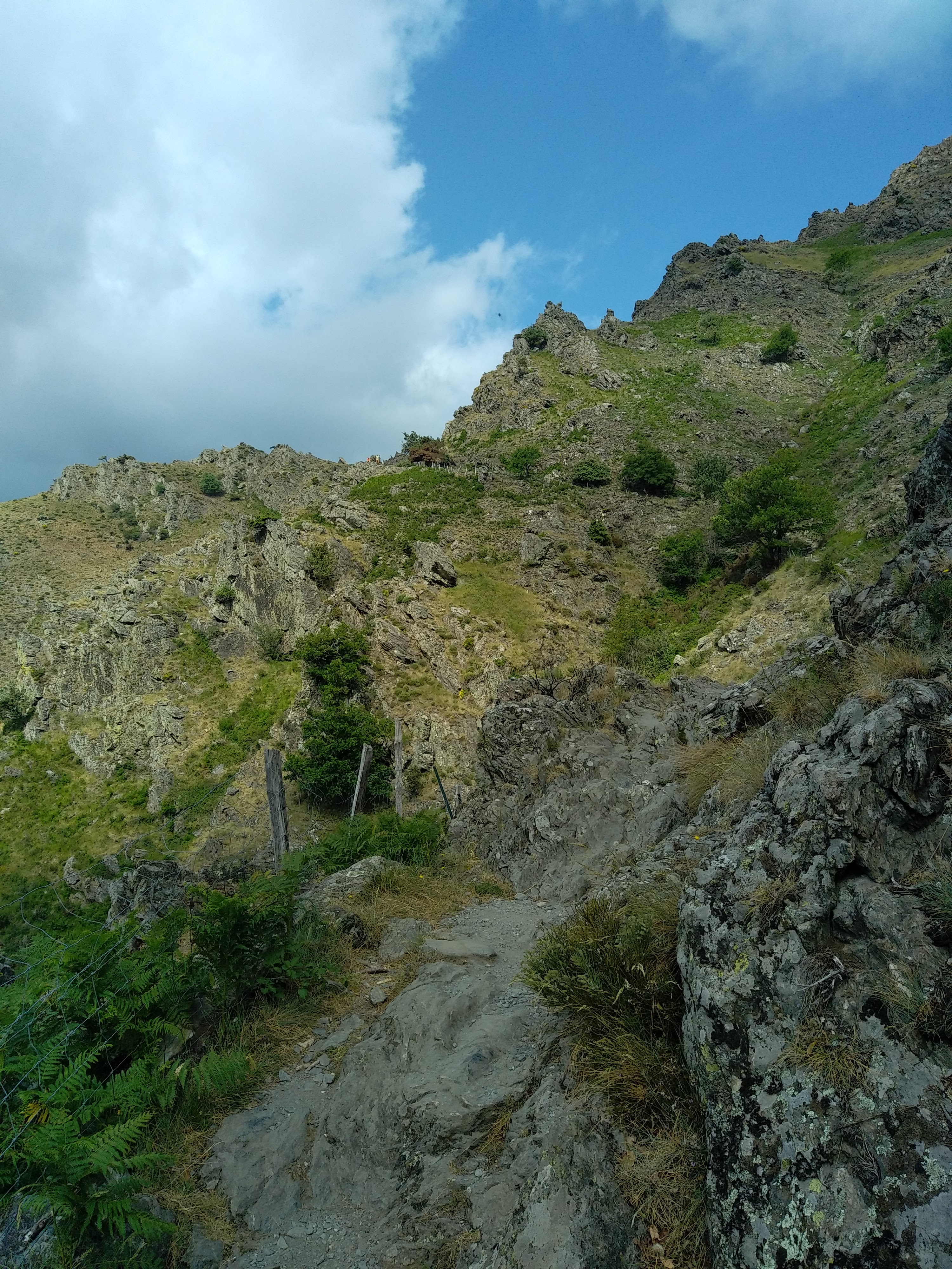 Photo n° 49 de l'avis de Julien.a fait le 10/01/2023 à 18:45
