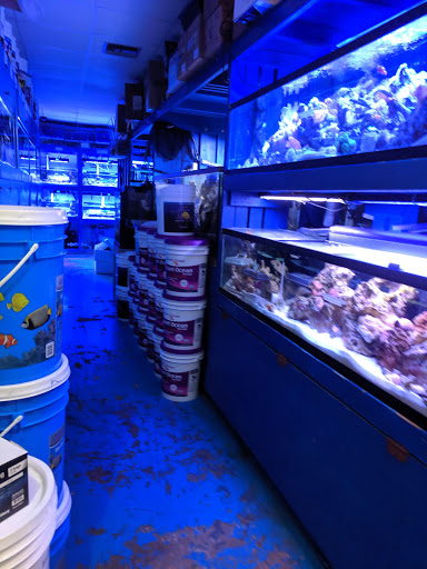 Pet Store «Aquarium Designs», reviews and photos, 15229 San Pedro Ave, San Antonio, TX 78232, USA