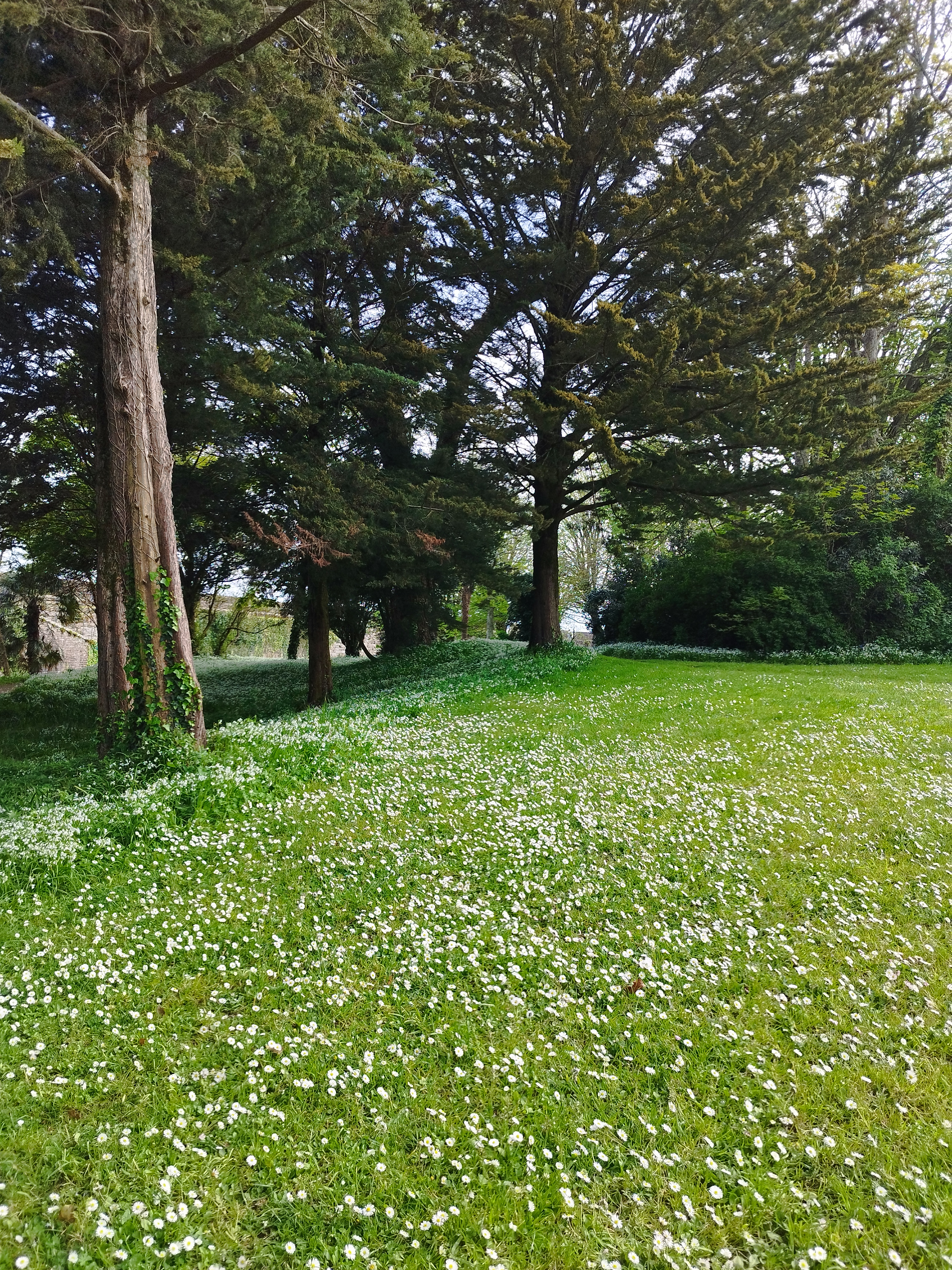 Photo n° 11 de l'avis de Magali.A fait le 01/05/2023 à 23:03