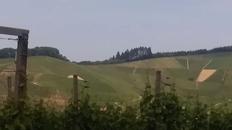 Vidéos Chambre d'hôtes Panoramablick Pension 77770 Durbach