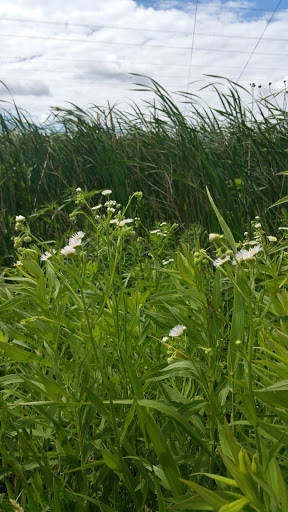 Nature Preserve «Rudy Kraemer Nature Preserve», reviews and photos, 12799 Chowen Ave S, Burnsville, MN 55337, USA