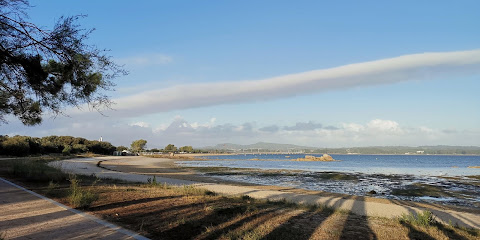 Descubre las mejores playas de Illa de Arousa: para&iacute;sos costeros en Galicia