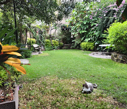 Villa Ganz Boutique Hotel photo