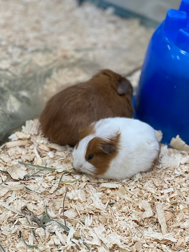 Pet Supply Store «Pet Expo Distributors», reviews and photos, 1800 Adams St, Mankato, MN 56001, USA