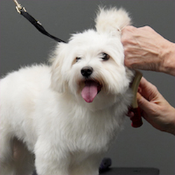 Pet Supply Store «Pet Supplies Plus», reviews and photos, 1377 N 21st St, Newark, OH 43055, USA