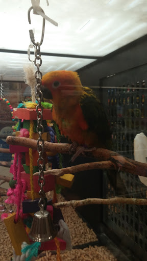 Pet Supply Store «PetSmart», reviews and photos, 45 Park Pl Dr, Covington, LA 70433, USA