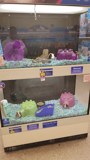 Pet Supply Store «PetSmart», reviews and photos, 3042 W Ridge Rd, Greece, NY 14626, USA