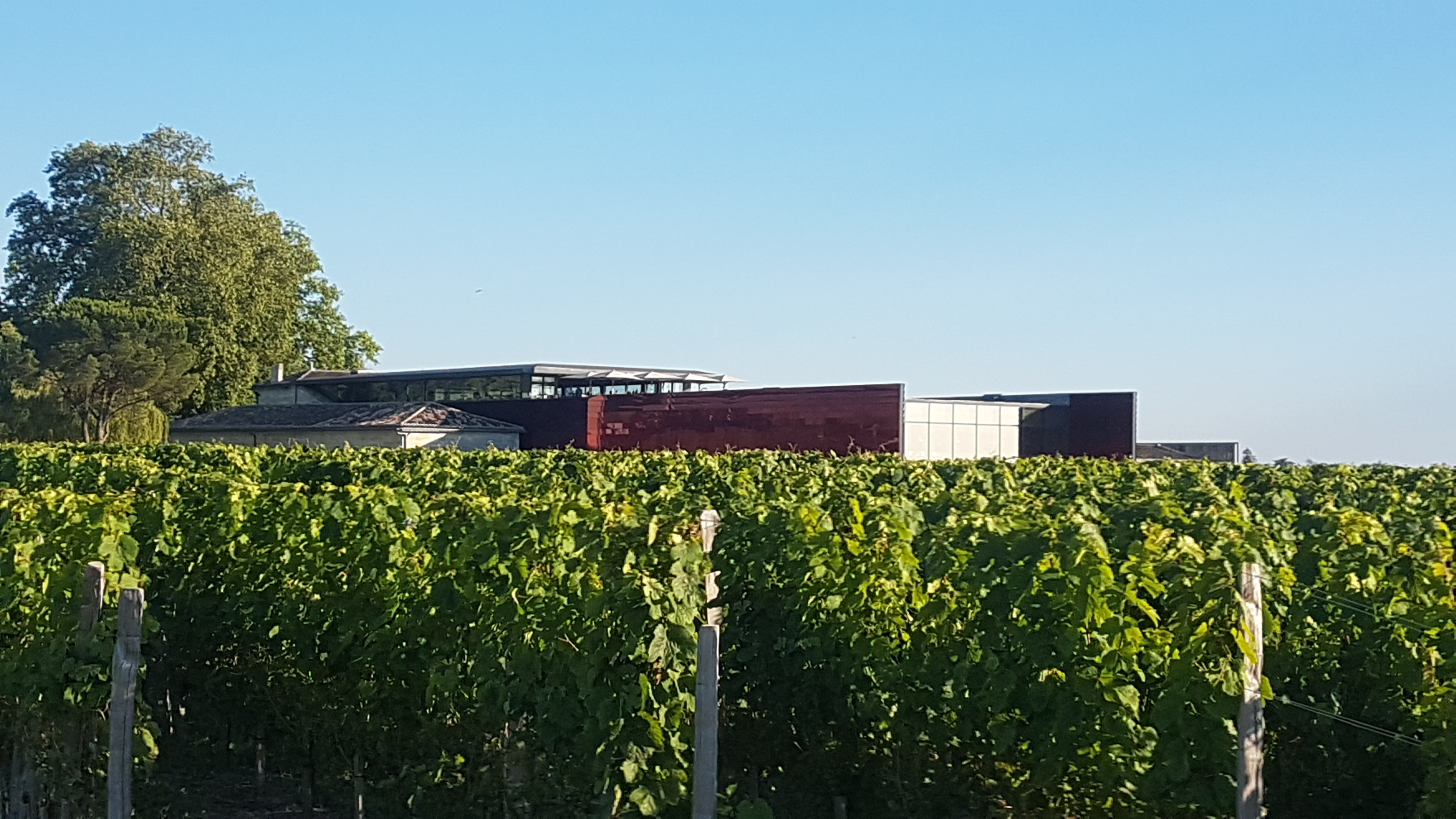 Photo n° 10 de l'avis de Laetitia.i fait le 19/07/2022 à 15:54