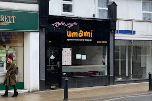 Umami Japanese Restaurant image