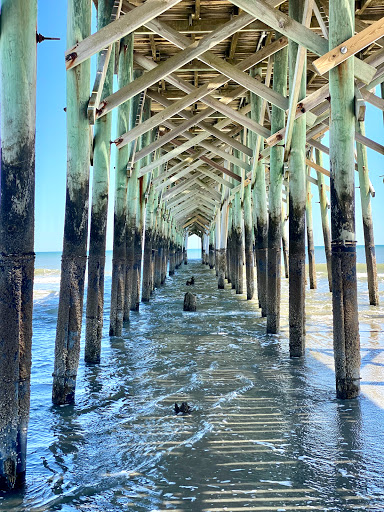 Tourist Attraction «Beach Access», reviews and photos, Alantic Ave, Pawleys Island, SC 29585, USA