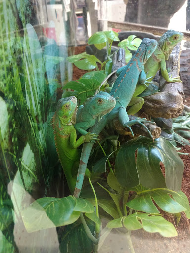 Pet Supply Store «Petco Animal Supplies», reviews and photos, 22511 TX-249, Houston, TX 77070, USA