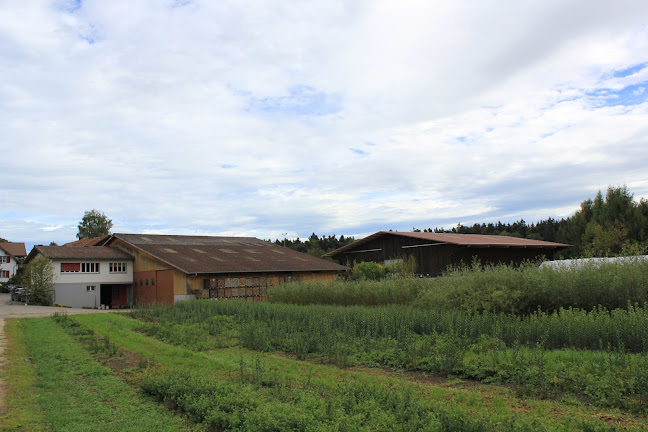 Forstbaumschule Josef Kressibucher AG - Gartenbauer