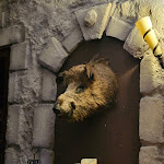 Photo n°5 de l'avis de Dennis. fait le 13/03/2023 à 07:05 sur le  Thorheim à Bergkamen