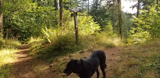 Forestry Service «Hopkins Demonstration Forest», reviews and photos, 16750 S Brockway Rd, Oregon City, OR 97045, USA