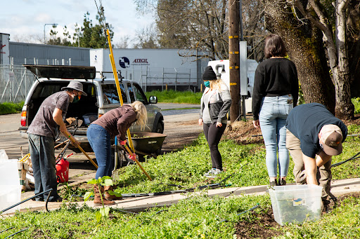 Non-Profit Organization «The Living Room Center», reviews and photos