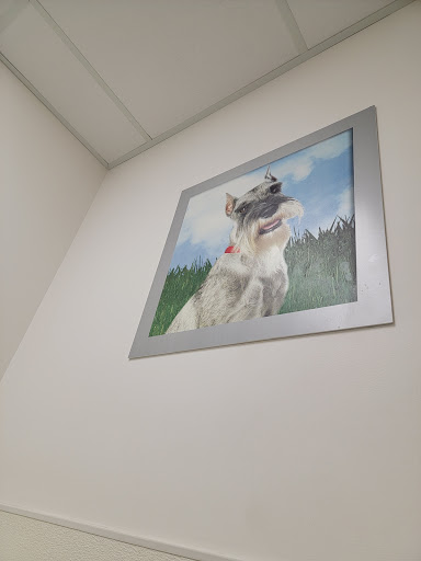 Pet Supply Store «Petco Animal Supplies», reviews and photos, 200 Edwards Blvd b, Lake Geneva, WI 53147, USA